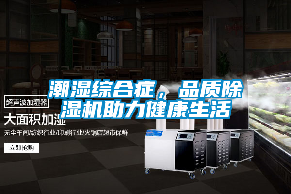 潮濕綜合癥，品質(zhì)除濕機助力健康生活