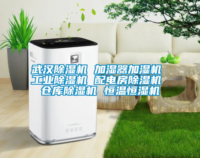 武漢除濕機(jī) 加濕器加濕機(jī) 工業(yè)除濕機(jī) 配電房除濕機(jī) 倉(cāng)庫(kù)除濕機(jī) 恒溫恒濕機(jī)
