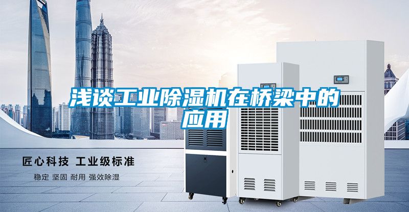 淺談工業(yè)除濕機在橋梁中的應(yīng)用