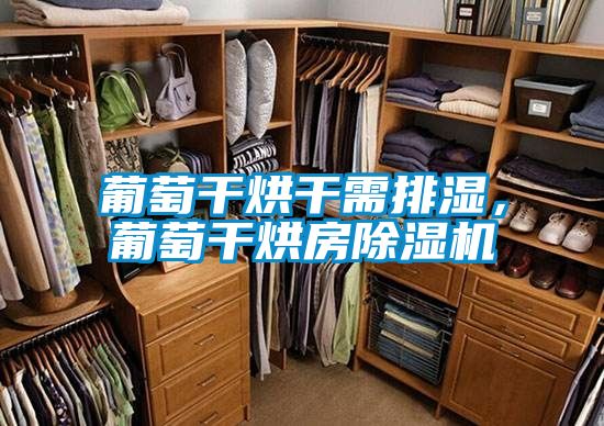 葡萄干烘干需排濕，葡萄干烘房除濕機(jī)