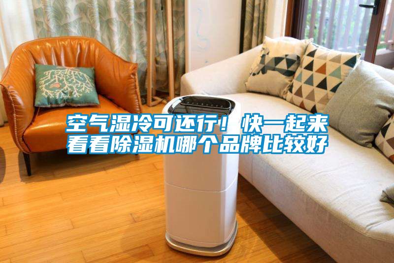 空氣濕冷可還行！快一起來(lái)看看除濕機(jī)哪個(gè)品牌比較好