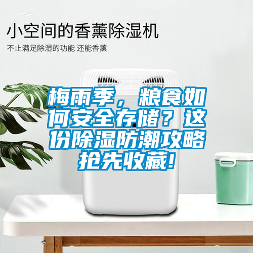 梅雨季，糧食如何安全存儲(chǔ)？這份除濕防潮攻略搶先收藏!