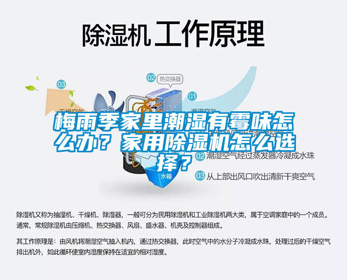 梅雨季家里潮濕有霉味怎么辦？家用除濕機(jī)怎么選擇？