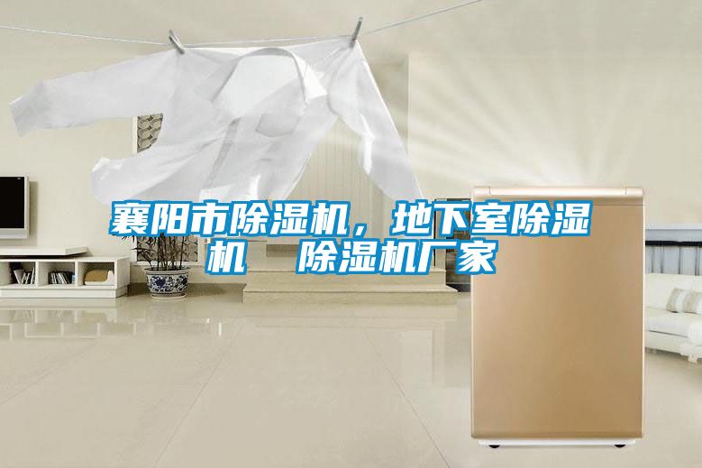 襄陽市除濕機(jī)，地下室除濕機(jī)  除濕機(jī)廠家