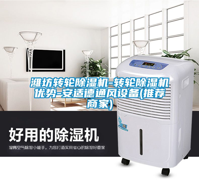 濰坊轉(zhuǎn)輪除濕機(jī)-轉(zhuǎn)輪除濕機(jī)優(yōu)勢(shì)-安適德通風(fēng)設(shè)備(推薦商家)
