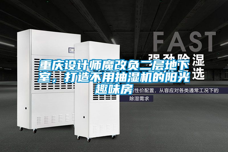 重慶設(shè)計(jì)師魔改負(fù)二層地下室，打造不用抽濕機(jī)的陽光趣味房