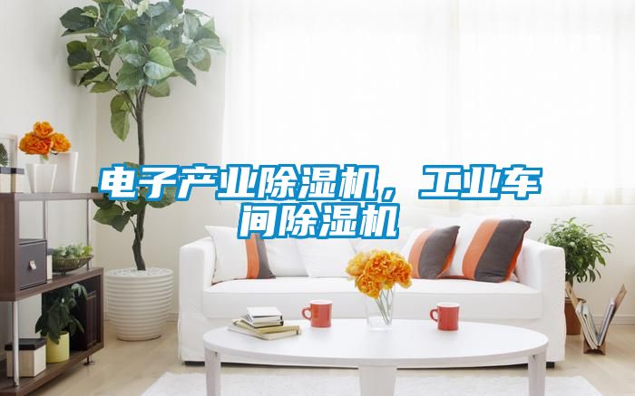 電子產(chǎn)業(yè)除濕機(jī)，工業(yè)車間除濕機(jī)