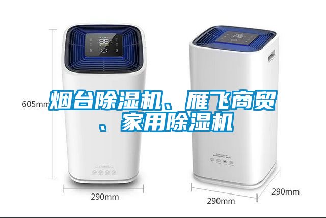 煙臺(tái)除濕機(jī)、雁飛商貿(mào)、家用除濕機(jī)
