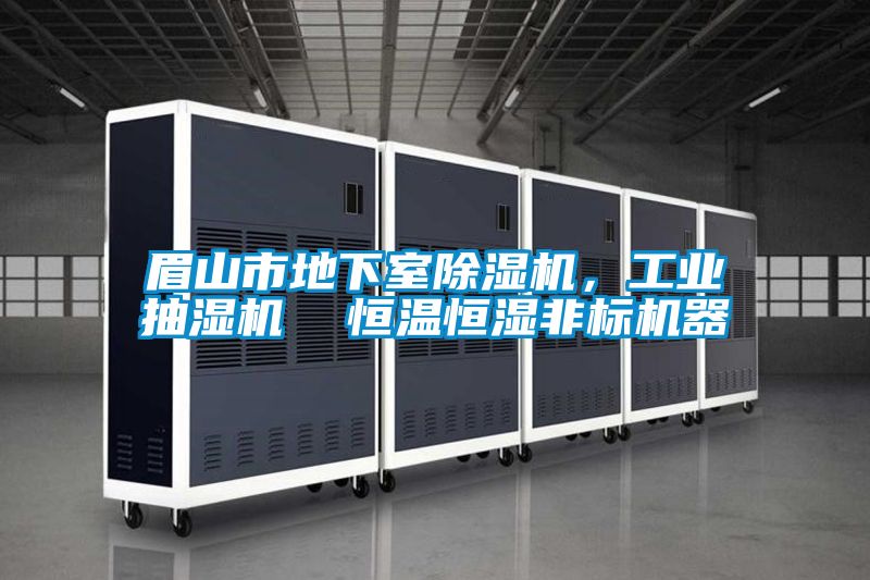 眉山市地下室除濕機(jī)，工業(yè)抽濕機(jī)  恒溫恒濕非標(biāo)機(jī)器