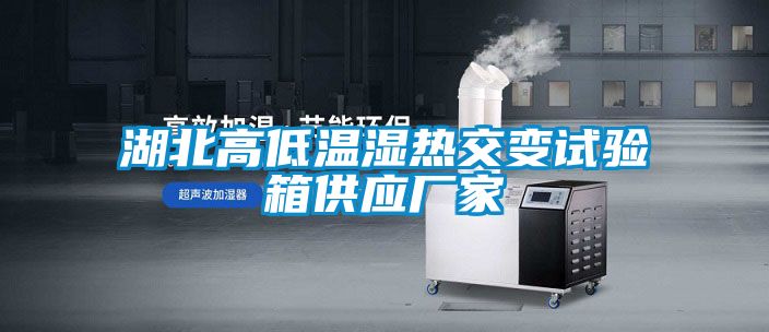 湖北高低溫濕熱交變試驗(yàn)箱供應(yīng)廠家