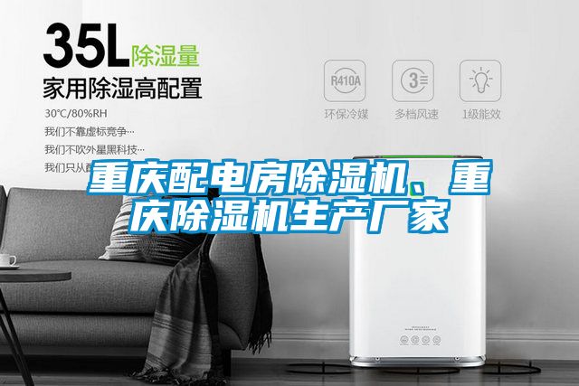 重慶配電房除濕機(jī)、重慶除濕機(jī)生產(chǎn)廠家