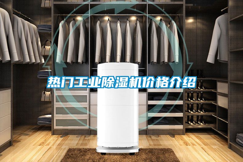 熱門工業(yè)除濕機價格介紹