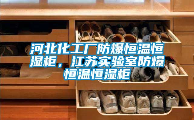 河北化工廠防爆恒溫恒濕柜，江蘇實(shí)驗(yàn)室防爆恒溫恒濕柜