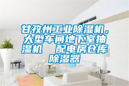 甘孜州工業(yè)除濕機(jī)，大型車間地下室抽濕機(jī)  配電房倉庫除濕器