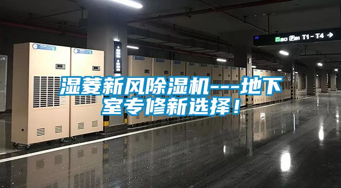 濕菱新風除濕機---地下室專修新選擇！