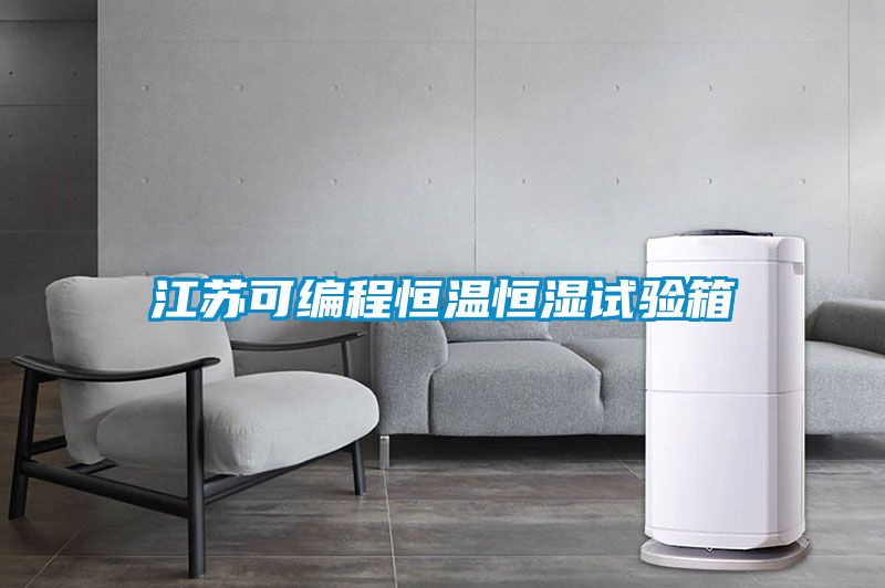 江蘇可編程恒溫恒濕試驗(yàn)箱