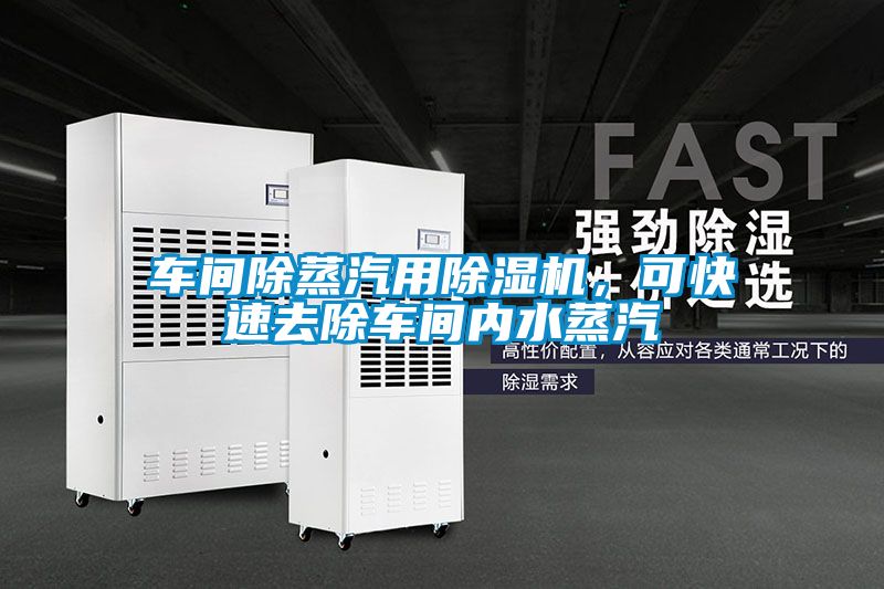 車間除蒸汽用除濕機(jī)，可快速去除車間內(nèi)水蒸汽