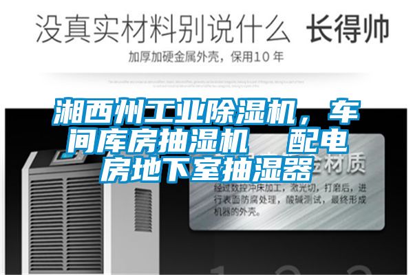 湘西州工業(yè)除濕機，車間庫房抽濕機  配電房地下室抽濕器