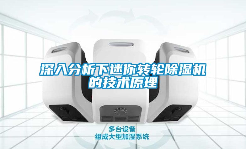 深入分析下迷你轉(zhuǎn)輪除濕機的技術(shù)原理