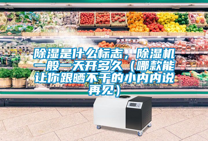 除濕是什么標(biāo)志，除濕機一般一天開多久（哪款能讓你跟曬不干的小內(nèi)內(nèi)說再見）
