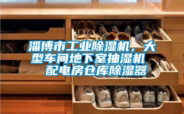 淄博市工業(yè)除濕機，大型車間地下室抽濕機  配電房倉庫除濕器