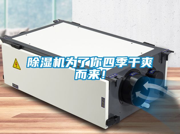 除濕機(jī)為了你四季干爽而來！