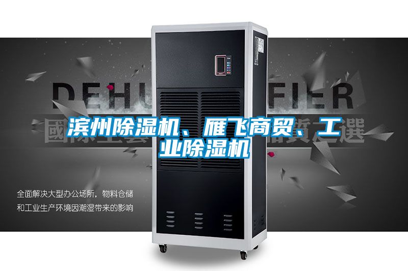濱州除濕機(jī)、雁飛商貿(mào)、工業(yè)除濕機(jī)