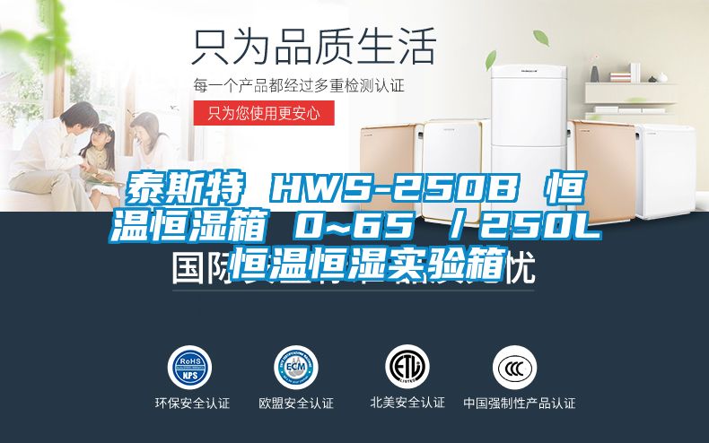 泰斯特 HWS-250B 恒溫恒濕箱 0~65℃／250L 恒溫恒濕實(shí)驗箱