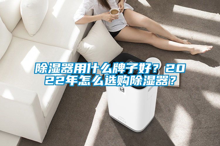 除濕器用什么牌子好？2022年怎么選購除濕器？