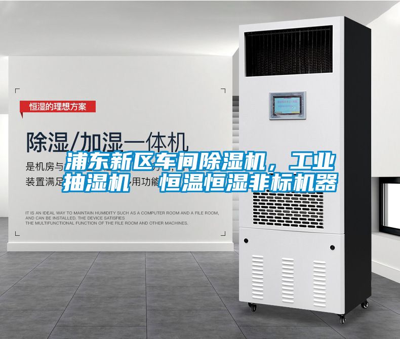浦東新區(qū)車間除濕機(jī)，工業(yè)抽濕機(jī)  恒溫恒濕非標(biāo)機(jī)器