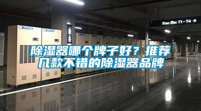 除濕器哪個牌子好？推薦幾款不錯的除濕器品牌