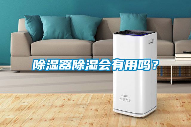 除濕器除濕會有用嗎？