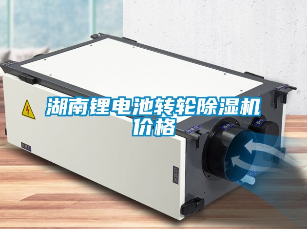 湖南鋰電池轉(zhuǎn)輪除濕機(jī)價格