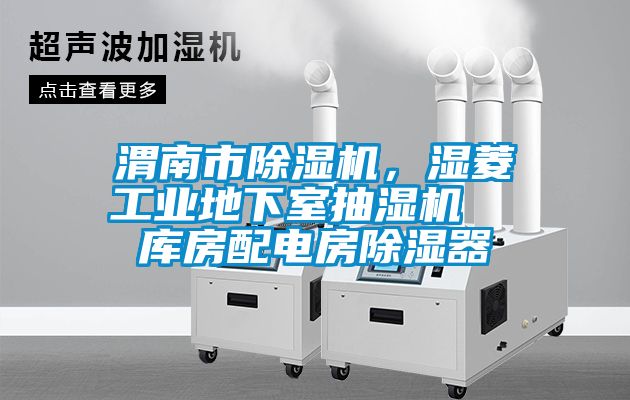 渭南市除濕機，濕菱工業(yè)地下室抽濕機  庫房配電房除濕器