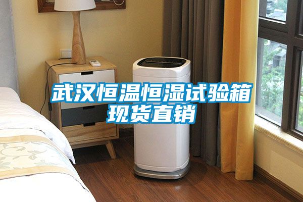 武漢恒溫恒濕試驗(yàn)箱現(xiàn)貨直銷