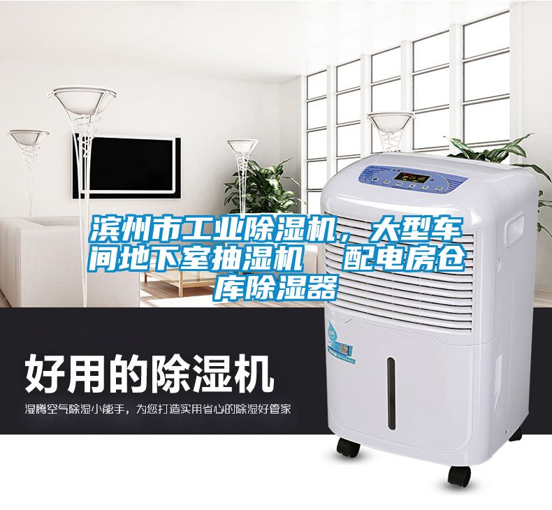 濱州市工業(yè)除濕機，大型車間地下室抽濕機  配電房倉庫除濕器