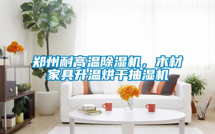 鄭州耐高溫除濕機，木材家具升溫烘干抽濕機