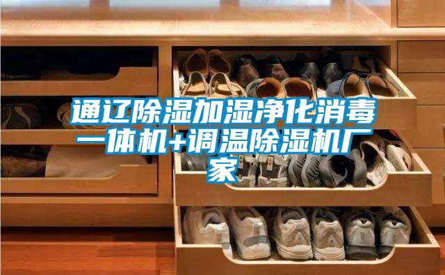 通遼除濕加濕凈化消毒一體機+調(diào)溫除濕機廠家