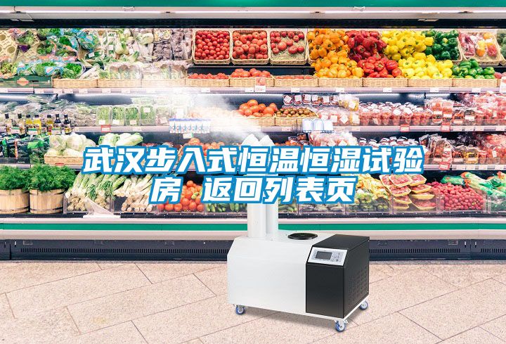 武漢步入式恒溫恒濕試驗(yàn)房 返回列表頁