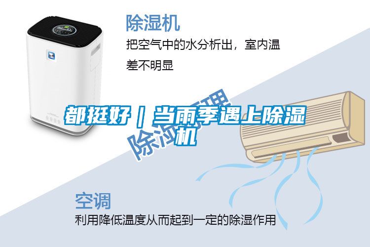 都挺好｜當(dāng)雨季遇上除濕機