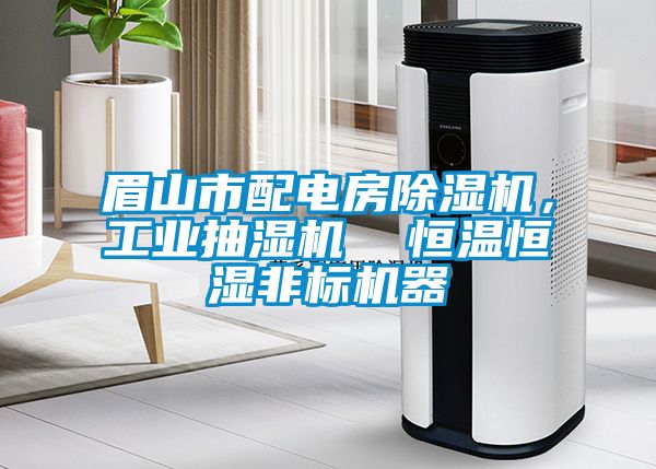 眉山市配電房除濕機(jī)，工業(yè)抽濕機(jī)  恒溫恒濕非標(biāo)機(jī)器