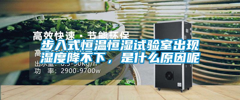 步入式恒溫恒濕試驗室出現(xiàn)濕度降不下，是什么原因呢
