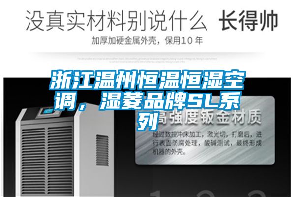 浙江溫州恒溫恒濕空調(diào)，濕菱品牌SL系列