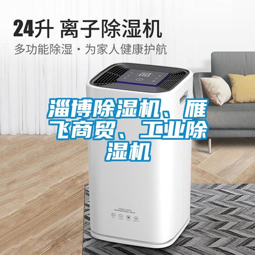 淄博除濕機(jī)、雁飛商貿(mào)、工業(yè)除濕機(jī)