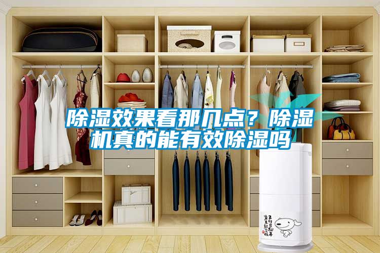 除濕效果看那幾點？除濕機真的能有效除濕嗎
