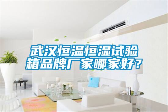 武漢恒溫恒濕試驗箱品牌廠家哪家好？