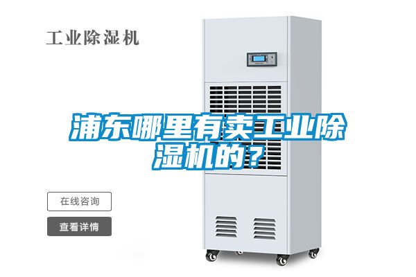 浦東哪里有賣(mài)工業(yè)除濕機(jī)的？