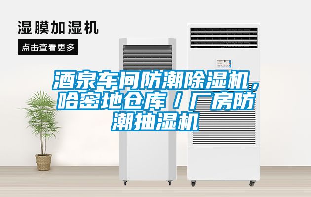 酒泉車間防潮除濕機(jī)，哈密地倉(cāng)庫(kù)／廠房防潮抽濕機(jī)