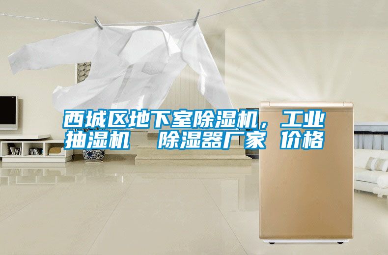 西城區(qū)地下室除濕機(jī)，工業(yè)抽濕機(jī)  除濕器廠家 價(jià)格