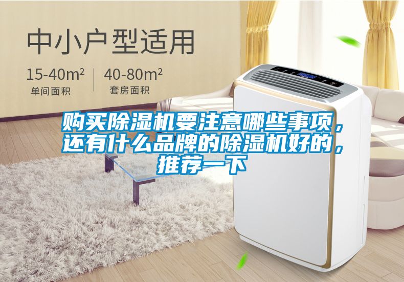 購買除濕機要注意哪些事項，還有什么品牌的除濕機好的，推薦一下